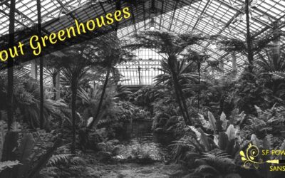 A Look at Greenhouses